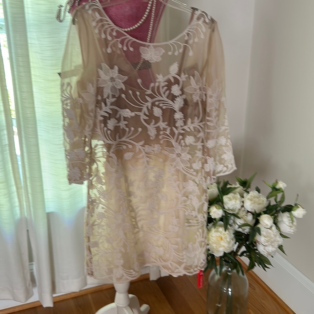 Ombré appliqué overlay dress